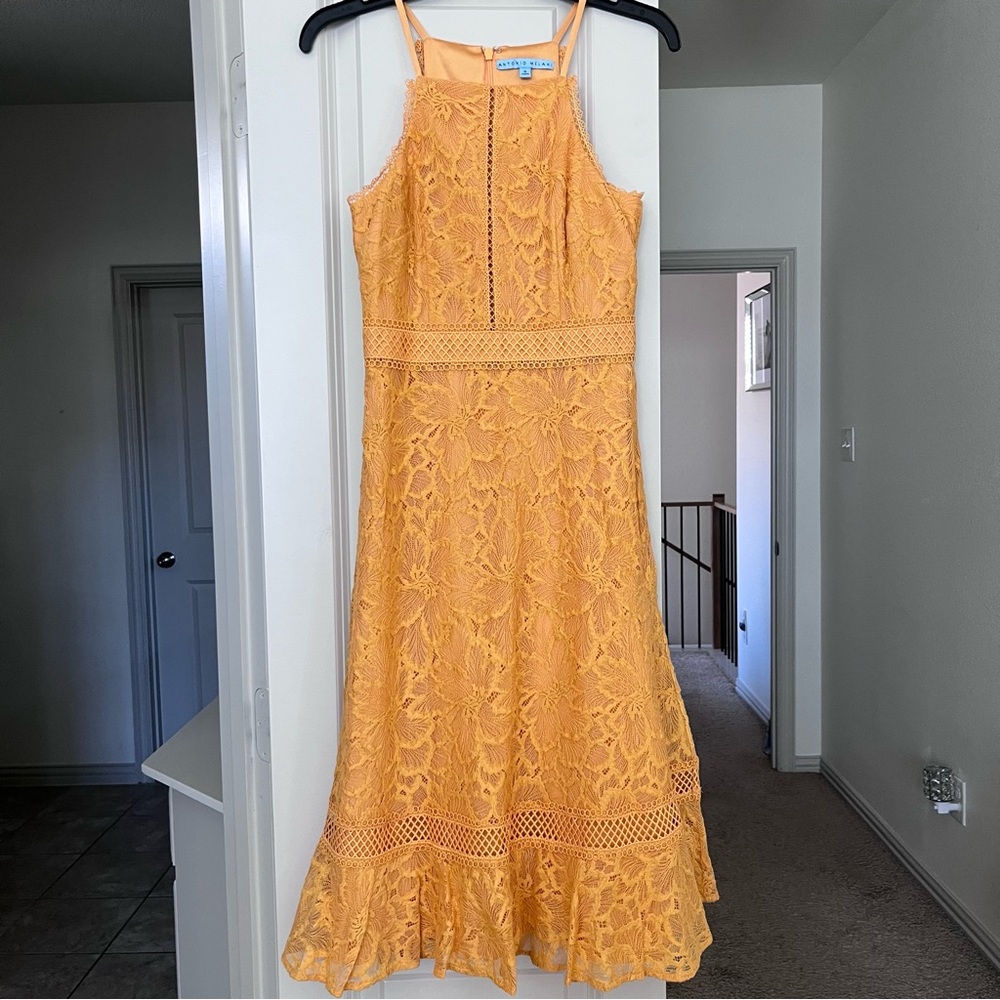 Antonio Melani Dress Size 0